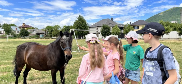 На Горячеводском казачьем подворье проходят экскурсии для детей на летних каникулах