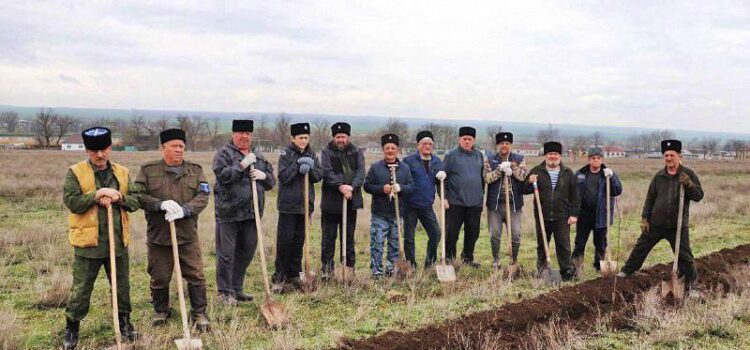 САД ПАМЯТИ: казаки Новоселицкого района приняли участие в общенациональной иницитиве