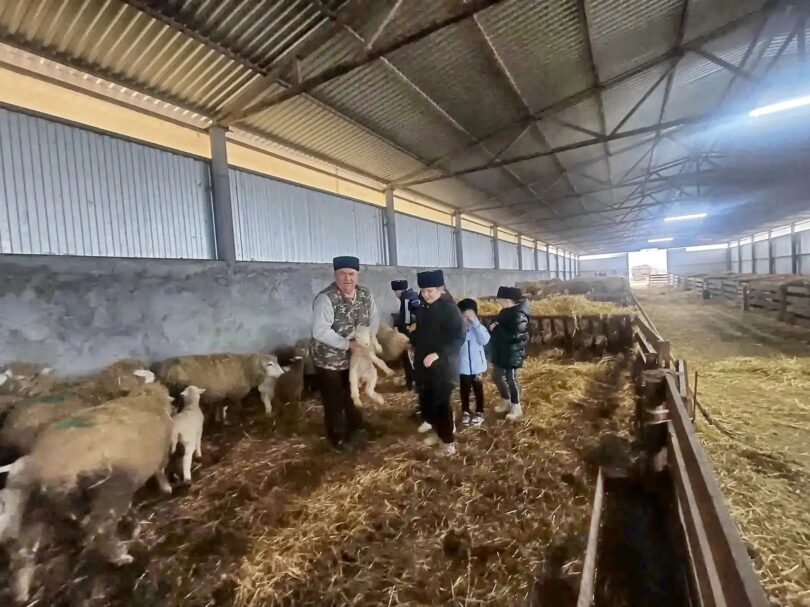 ЮНЫЕ КАЗАЧАТА НОВОСЕЛИЦКОГО ИЗУЧАЮТ ЖИВОТНОВОДСТВО НА ПРАКТИКЕ