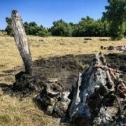 Ставропольские поисковики ищут родственников без вести пропавшего во время ВОВ стрелка-радиста из Кисловодска
